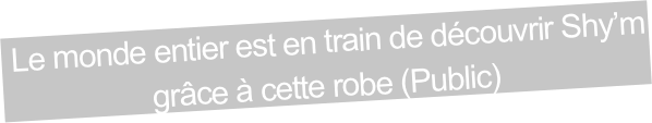  Le monde entier est en train de découvrir Shy’m
grâce à cette robe (Public)